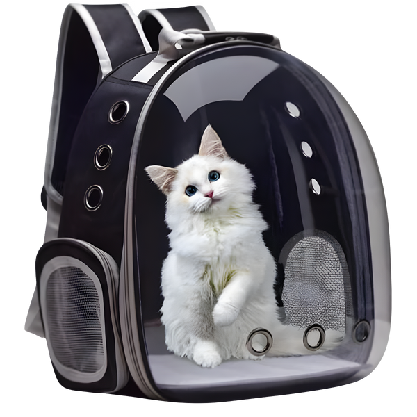 Mochila Pet Para Transporte De Cães E Gatos Visão Panorâmica