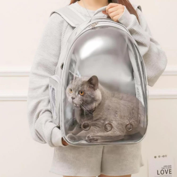 Mochila Pet Para Transporte De Cães E Gatos Visão Panorâmica